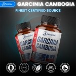 Garcinia Cambogia Capsules Manufacturer - Private Label Fast Slimming Appetite Control