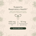 Pumpkin Seed Drops Manufacturer - Pumpkin Seed Oil Skin Hair Care Liquid Drops