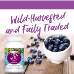 Iron Gummies Factory - Adult Iron Gummy Immune Support 60 Gummies Bottle