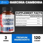 Garcinia Cambogia Capsules Manufacturer - Private Label Fast Slimming Appetite Control