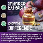 Grape Seed Capsules Supplier - Organic Grape Seed Extract Peripheral Circulation