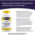 Grape Seed Capsules Factory - Pure Grape Seed Extract Boost Energy Capsule