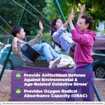 Acai Berry Capsules Manufacturer - Herbal Acai Berry Antioxidant Defense Capsule