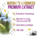 Black Seed Oil Softgel Factory - Low Price Cold Pressed Black Seed Oil Antioxidant