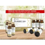 Shilajit Tablets Supplier - Ashwagandha Turmeric Himalayan Immune Health Tablets