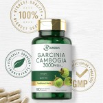 Garcinia Cambogia Capsules Factory - Custom Fat Burn Body Slim Appetite Suppressant