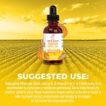 Pumpkin Seed Drops Supplier - Vegan Pumpkin Seed Immunity Skin Hair Care Drop