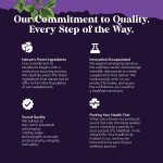 Acai Berry Capsules Supplier - Natural Acai Berry Anti Aging Antioxidant Capsule