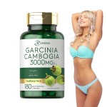 Garcinia Cambogia Capsules Factory - Custom Fat Burn Body Slim Appetite Suppressant
