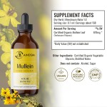 Pumpkin Seed Drops Manufacturer - Specially Designed Alcohol-free Urinary Health