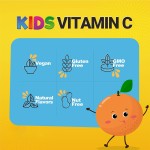 Vitamin C Gummies Manufacturer - Custom Color Sugar Free Immune Support Gummy Bears