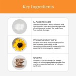 Ginseng Liquid Drops Factory - Vegan Red Ginseng Extract Energy Immune Support Custom