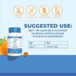 Vitamin C Gummies Supplier - Sugar Free Kids Immune Energy Support for Adults