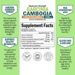 Garcinia Cambogia Capsules Manufacturer - Herbal Weight Management Extract Capsules