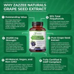 Grape Seed Capsules Factory - Grape Seed Extract Antioxidant Protection Capsule