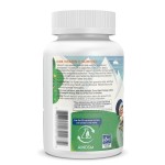 Vitamin C Gummies Supplier - Children Energy Boost Immune Support Gummy