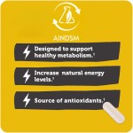 Garcinia Cambogia Capsules Factory - Natural Diet Fat Burner Slimming Extract