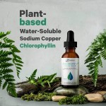 Mullein Leaf Drops Factory - Mullein Leaf Respiratory Health Chlorophyll Extract