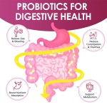 Keto Gummies Factory - Stock WXW Keto ACV Digestion Appetite Slimming Gummy