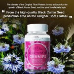 Creatine Gummies Supplier - WXW Outwork Creatine Monohydrate Muscle Strength Gummy