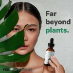 Mullein Leaf Drops Factory - Mullein Leaf Respiratory Health Chlorophyll Extract