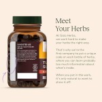 Pumpkin Seed Drops Manufacturer - Pumpkin Seed Oil Skin Hair Care Liquid Drops