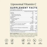 Ginseng Liquid Drops Factory - Vegan Red Ginseng Extract Energy Immune Support Custom