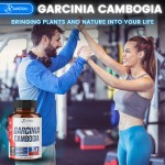 Garcinia Cambogia Capsules Manufacturer - Private Label Fast Slimming Appetite Control