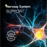 Glycine Capsules Factory - Sleep Nervous System Vegan
