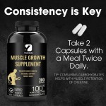 Creatine Monohydrate Capsules Factory - Muscle Growth Energy
