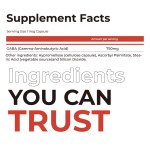 GABA Amino Acid Capsules Factory - 750mg Relaxation Nervous