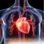 Triple Magnesium Capsules Manufacturer - Glycine Malic Citric