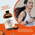 Cordyceps Extract Capsules Supplier - Natural Energy Boost