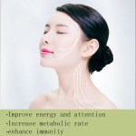 Matcha Green Tea Powder Supplier - Energy Attention Metabolic