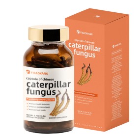 Cordyceps Extract Capsules Supplier - Natural Energy Boost