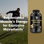 Creatine Monohydrate Capsules Factory - Muscle Growth Energy