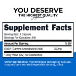 GABA Amino Acid Capsules Manufacturer - Promote Relaxation