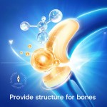 Vegetarian Collagen Gummies Supplier - Bone Skin Production