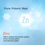 Zinc Gluconate Tablet Supplier - Enzyme Endocrine Support