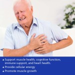 Creatine Capsules Manufacturer - Muscle Cognitive Immune