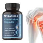 Glucosamine Chondroitin Capsules Manufacturer - Joint Flexibility