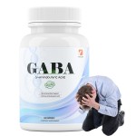 GABA Amino Acid Capsules Factory - 750mg Relaxation Nervous
