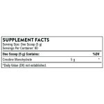 Creatine Powder Supplier - Muscle Cellular Energy