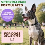 Pet Probiotic Pills Supplier - Dog Gut Health Chewable