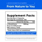Vitamin Supplement Capsule Manufacturer - Antioxidant Liver Support