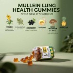 Mullein Leaf Gummies Supplier - Respiratory Health Gummies