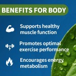 Creatine Monohydrate Capsules Manufacturer - Energy Metabolism