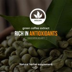 Green Coffee Bean Powder Supplier - Antioxidant Energy Blend