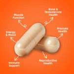 Men's Multivitamins Supplier - Energy Focus Stamina