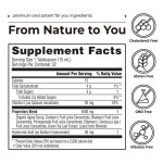 Hyaluronic Acid Liquid Factory - Vitamin C Berry Beauty